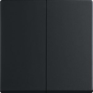 Busch-Jaeger Friends of Hue-885 bedieningswip future zwart mat, RAL9005
