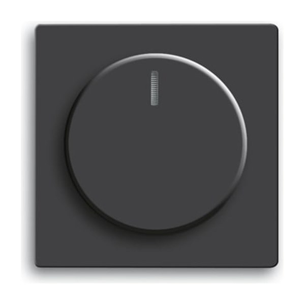 Busch-Jaeger Bedieningselement /centraalplaat schakelmateriaal zwart RAL9005