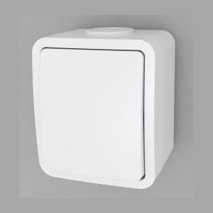 Schakelaar 1P opbouw IP54 WT