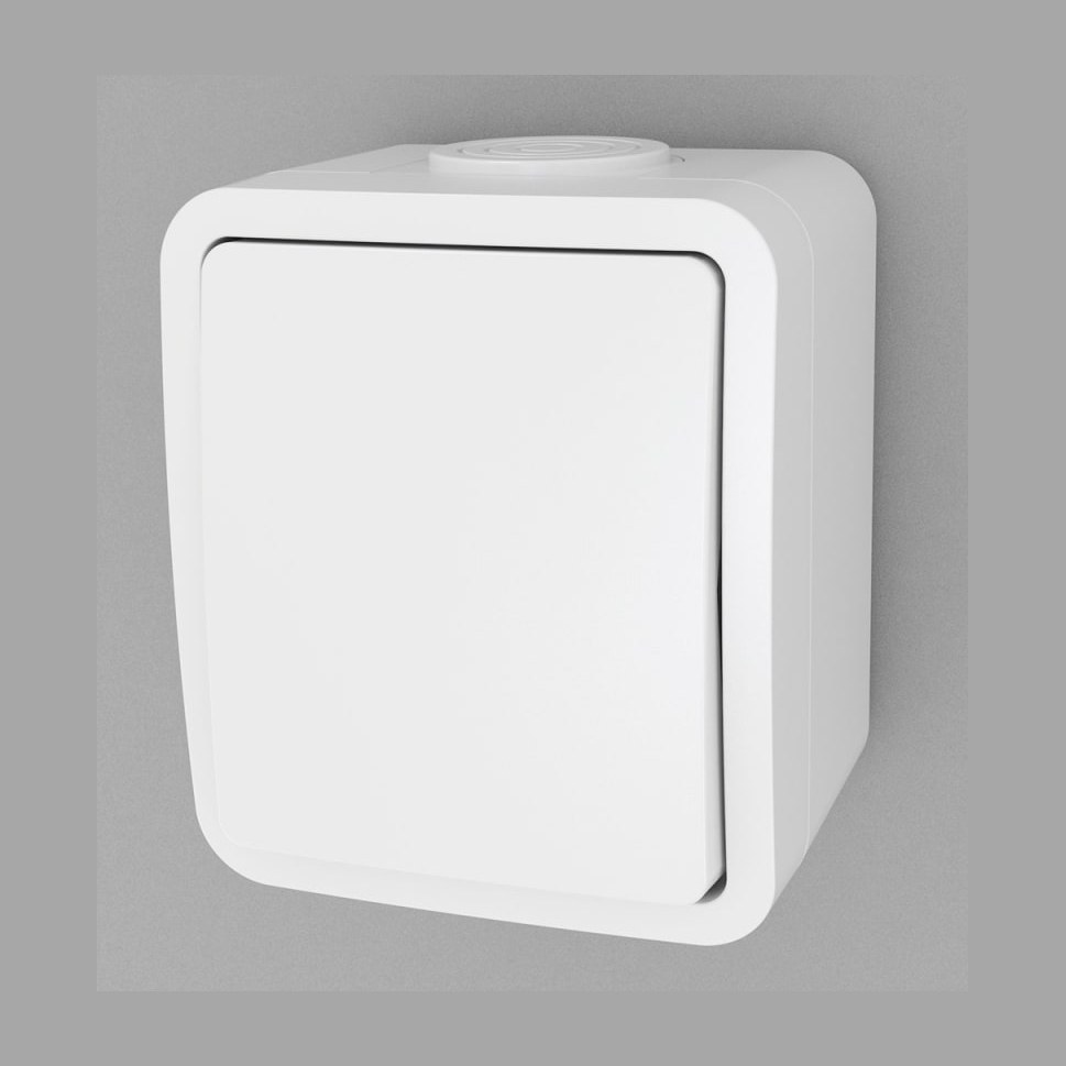 Schakelaar 1P opbouw IP54 WT