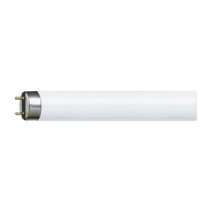 Philips Master TL-D Super TL-buis 36 W