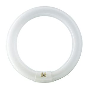 Philips Master TL-E Circular TL-buis 22 W