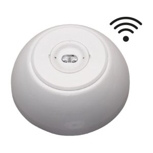 Noodverlichting, Corridor/Square, WIFI, met draadloze bewaking